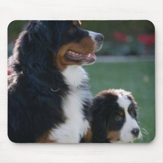 Cão de montanha de Bernese Mousepad (Frente)