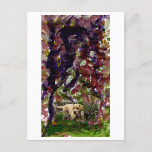 Cão de outro lugar cartão postal