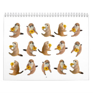 cão de pradaria, calendário