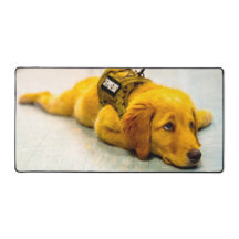 CÃO DE SERVIÇO MILITAR DOS EUA