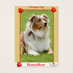 Cão de terapia de conforto K9