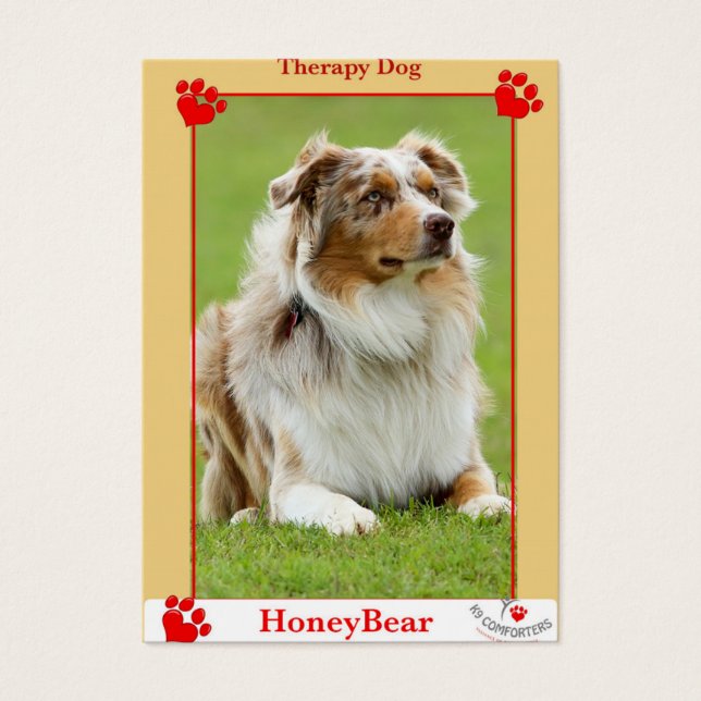 Cão de terapia de conforto K9 (Frente)