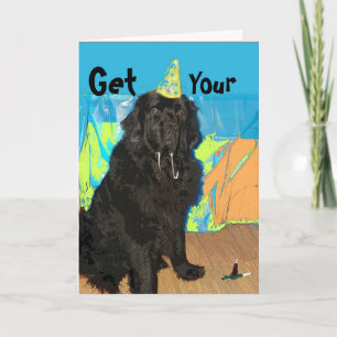 Cão de Terra Nova do ~ do cartão de aniversário