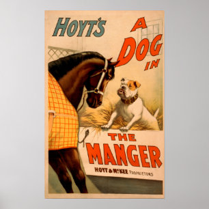 Cão do A de Hoyt no poster do teatro do comedoiro