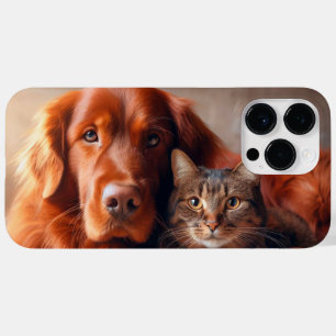 Cão e gato