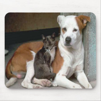 Cão e gato Mousepad