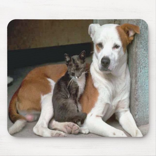 Cão e gato Mousepad (Frente)