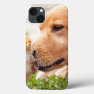 Cão e pintinho