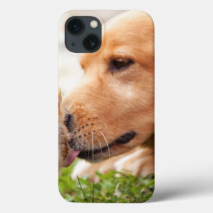 Cão e pintinho
