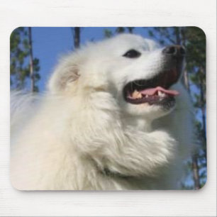 Cão Eskimo americano Mousepad