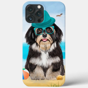 Cão Havanês na Praia