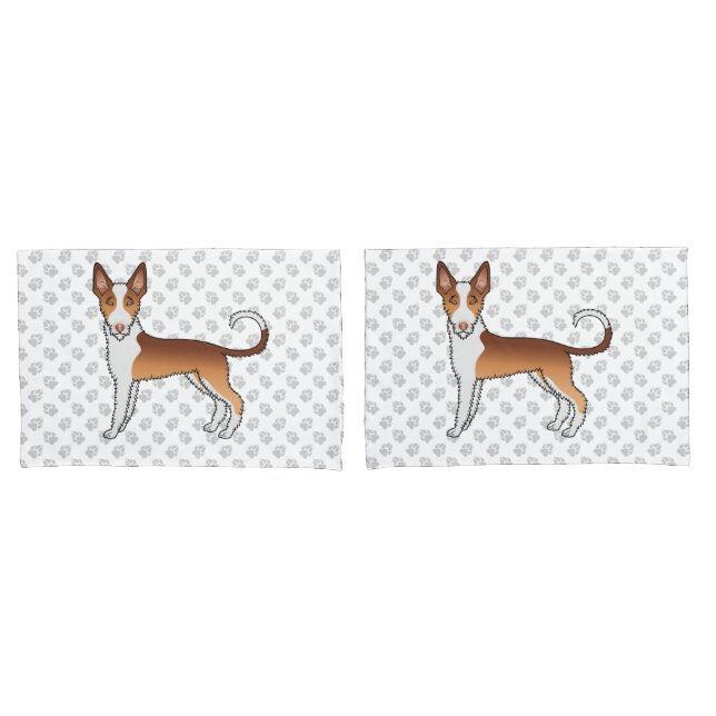 Cão Ibizan Hound de Cabelo Raspado Vermelho e Bran (Frente - conjunto)