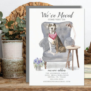 Cão-Leopardo Catahoula   Anúncio de mudança