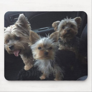 Cão Mousepad