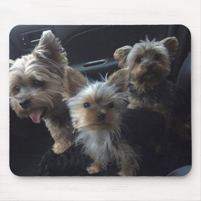 Cão Mousepad (Frente)