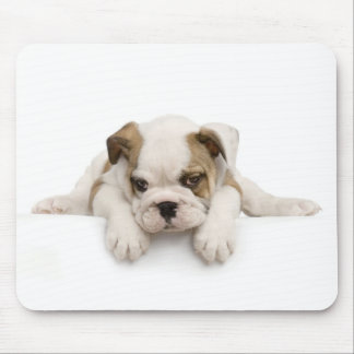 Cão Mousepad de Bull do inglês