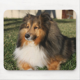 Cão Mousepad de Sheltie