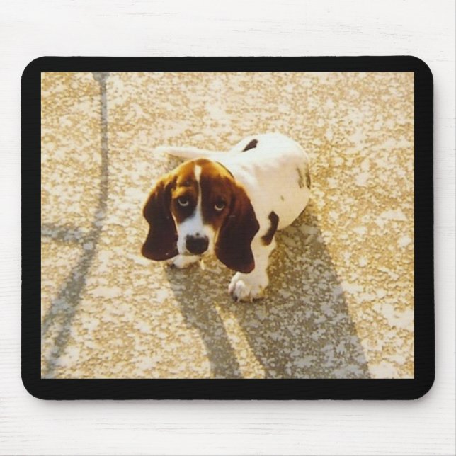 Cão Mousepad do Bassett (Frente)