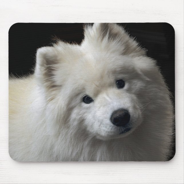 Cão Mousepad do Samoyed (Frente)