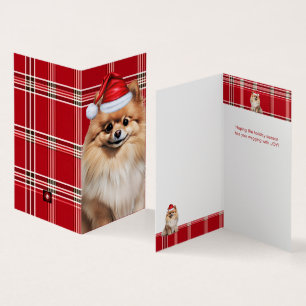 Cão Pomerânia Férias Xadrez Vermelho Natal