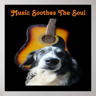 Cão Poster