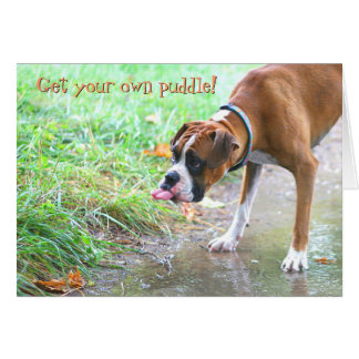 Cão que cola a língua para fora com cartão da poça