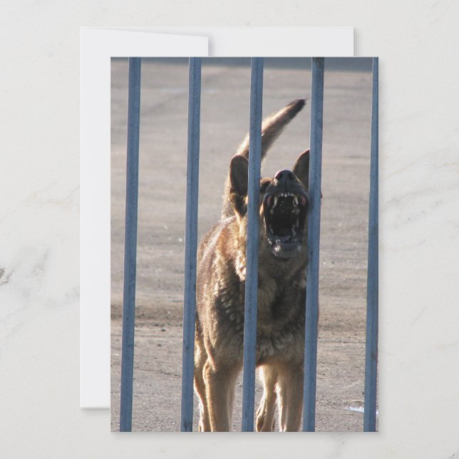 Cão que ladra (Frente)