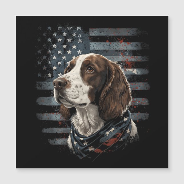 Cão Springer Spaniel Bandeira Americana (Frente)