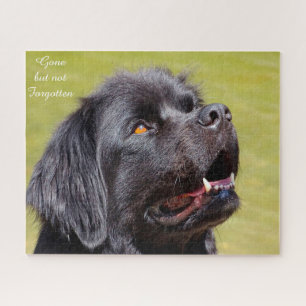 Cão Terra Nova. Quebra-cabeça