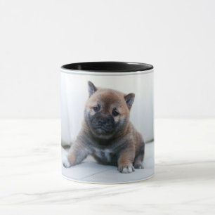 Cãozinho Adorável Akita, xícara de café