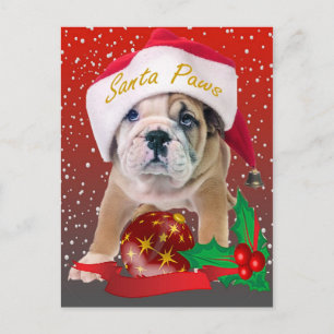 Cãozinho de buldogue inglês nos Cartões Santa Hat
