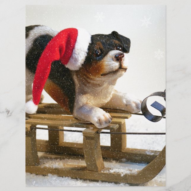 Cãozinho num Sled (Frente)
