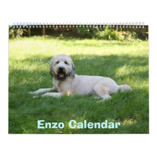 Capa, calendário de Enzo
