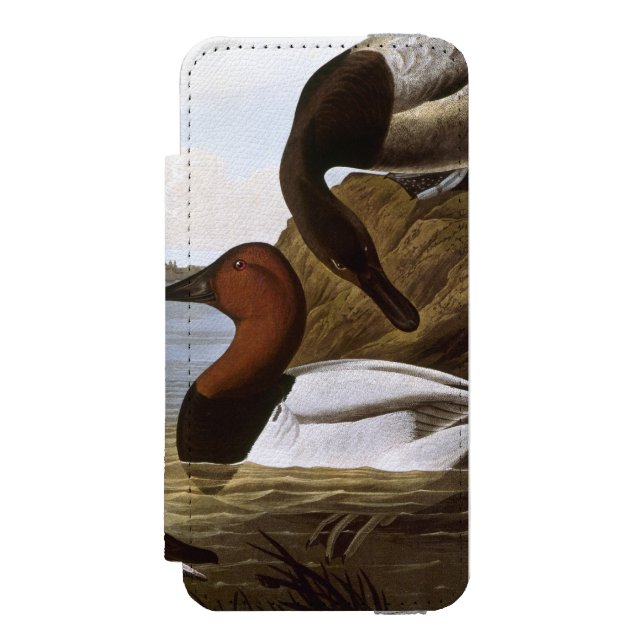 Capa Carteira Para iPhone, Incipio Audubon: Canvasback (Frente do fólio)
