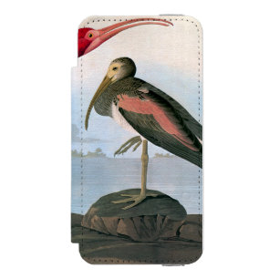 Capa Carteira Incipio Watson™ Para iPhone 5 Audubon: Escarlate dos íbis