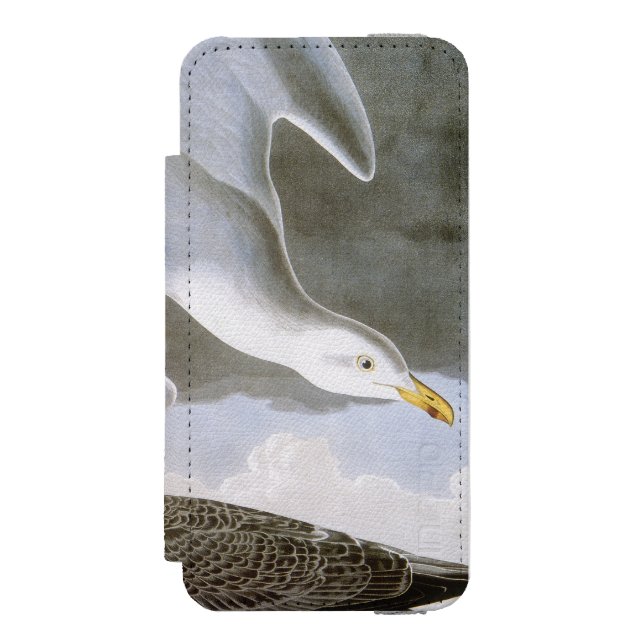 Capa Carteira Para iPhone, Incipio Audubon: Gaivota de arenques (Frente do fólio)