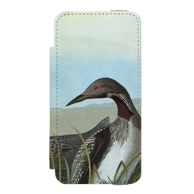 Capa Carteira Para iPhone, Incipio Audubon: Mergulhão-do-norte ártico (Frente do fólio)