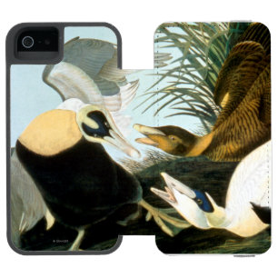 Capa Carteira Incipio Watson™ Para iPhone 5 Audubon: Pato de êider
