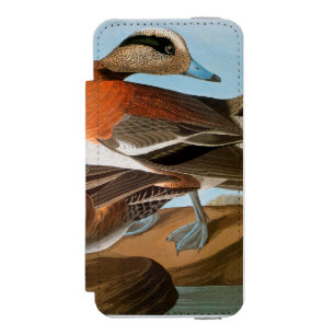 Capa Carteira Incipio Watson™ Para iPhone 5 Audubon: Wigeon