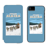 Cena Sledding do cão - Seward, Alaska