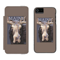 De MaineMoose fim acima
