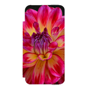 Capa Carteira Incipio Watson™ Para iPhone 5 Flor de dália rosa e amarela