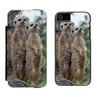 Capa Carteira Incipio Watson™ Para iPhone 5 Meerkat-DreamTeam