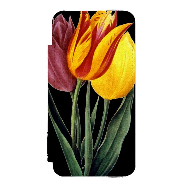 Capa Carteira Para iPhone, Incipio Tulipa (Tulipa Gesneriana) (Frente do fólio)