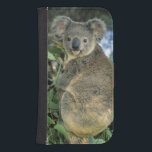 Capa Carteira Para Samsung Galaxy S4 Cinereus do Koala, do Phascolarctos), psto em<br><div class="desc">Koala,  (cinereus do Phascolarctos),  psto em perigo,  � Kevin Schafer do Sul da Austrália/DanitaDelimont.com</div>