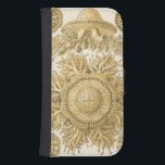 Capa Carteira Para Samsung Galaxy S4 Criaturas do Mar do ouro<br><div class="desc">Ernst Haeckel é um artista criativo e imaginativo. Nessa arte contemporânea,  ele captura ouriços anêmonos da vida marinha em ouro e designs tortos. Você não terá nenhuma outra peça de arte como a sua espécie. Peguem esta inovadora arte oceânica em seus produtos hoje!</div>