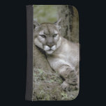 Capa Carteira Para Samsung Galaxy S4 Flórida Panther, Felis concolor coryi,<br><div class="desc">COPYRIGHT Maresa Pryor / DanitaDelimont.com | NA02 MPR0105.jpg | Pantera da Flórida,  Felis concolor coryi,  controlada,  espécie ameaçada, </div>