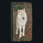 Capa Carteira Para Samsung Galaxy S5 Lobo Branco<br><div class="desc">Uma bela foto de um lobo branco adorna esta capa de telefone protetora e carteira em uma só! Fique por conta própria ou dê de presente,  disponível em diferentes estilos de telefone também.</div>