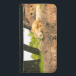 Capa Carteira Para Samsung Galaxy S5 O leão de Judah<br><div class="desc">O leão de Judah.  Espera tranquila no monte.</div>