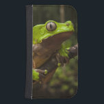 Capa Carteira Para Samsung Galaxy S4 Sapo gigante Phyllomedusa bicolor)<br><div class="desc">Floresta tropical,  Reserva de Iwokrama,  Guyana � Pete Oxford / DanitaDelimont.com</div>